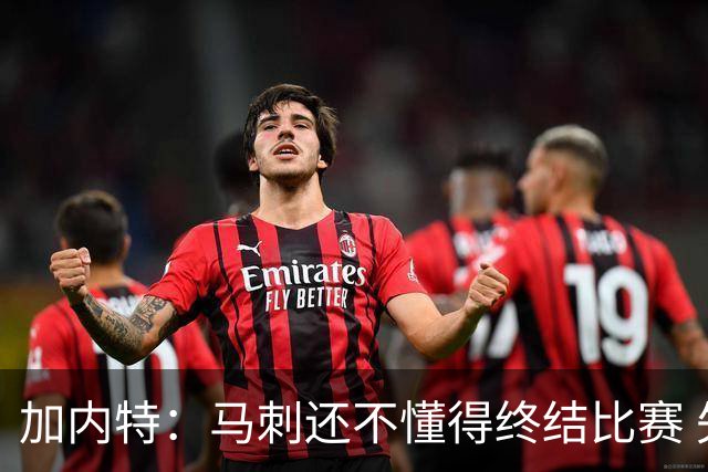 加内特：马刺还不懂得终结比赛 失利能让人学到东西